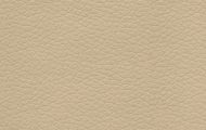FI19 beige