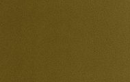IC23 verde oliva
