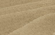 LT29 rovere